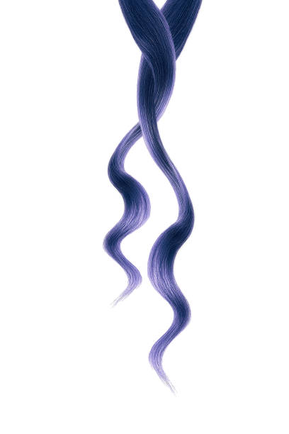 Purple Streaks In Hair Stock Photos, Pictures & Royalty-Free Images - iStock Purple Streaks In Hair Stock Photos, Pictures & Royalty-Free Images - iStock