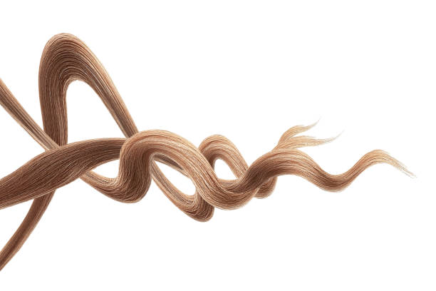istock Brown hair on white background, isolated. Thin curly threads 1248152299