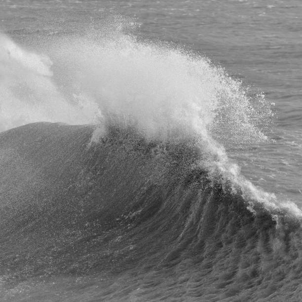 istock Amzing image of individual wave breaking and cresting during violent windy storm in black and white with superb detail 1248156827