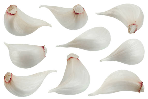 istock Young big garlic collection on white 1248157098