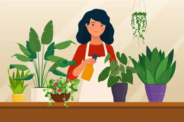 Vector illustration of Young woman sprays houseplants