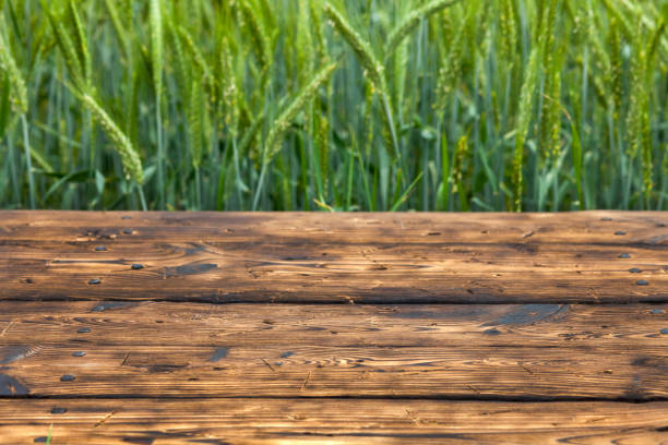 istock Old brown board erected in a field of rye in spring 1248161330