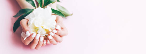 istock Banner for the site with a female white manicure and peony. 1248161380