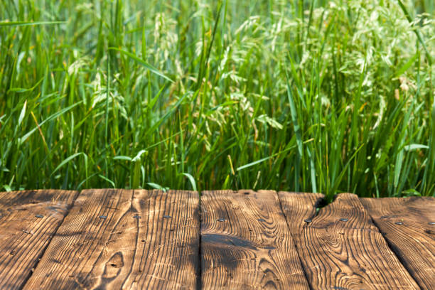 istock Old brown board erected in a field of rye in spring 1248161426