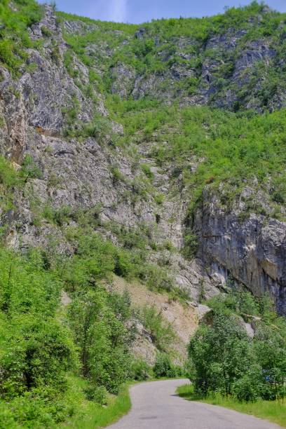 istock Karst landscape Sohodol Valley 1248164044