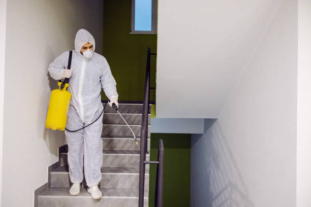 istock Sanitizing interior surfaces. Cleaning and Disinfection inside buildings, the coronavirus epidemic. Professional teams for disinfection efforts. Infection prevention and control of epidemic. Protective suit and mask. 1248166034