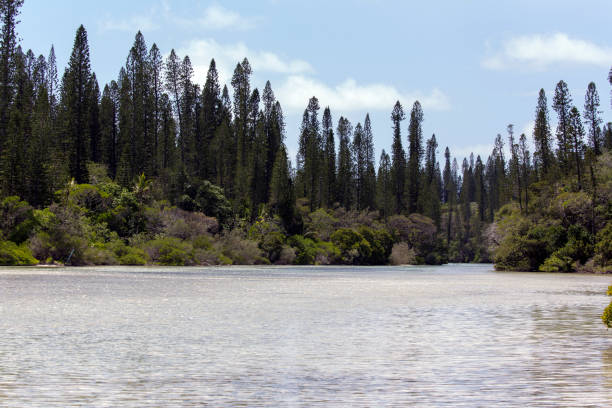 istock View of ile des pins 1248166304