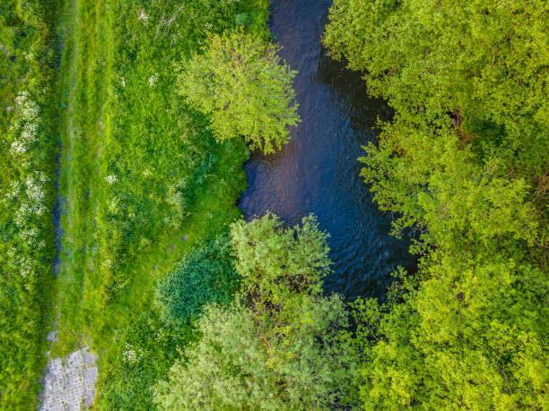 istock Rural landscape with a river seen from the air 1248167447