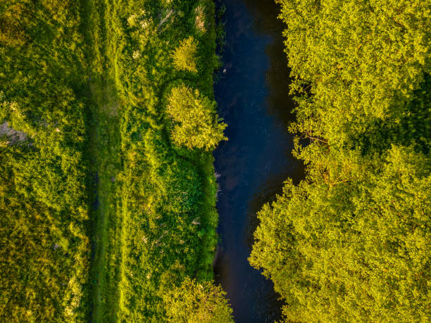 istock Rural landscape with a river seen from the air 1248168186