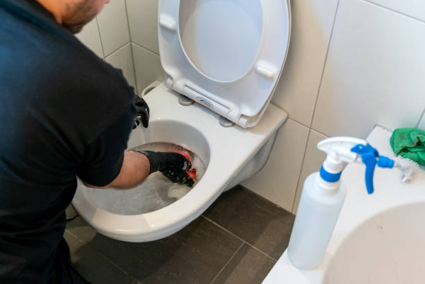 istock professional cleaner removing grime and lime scale in a toilet bowl during a spring cleaning of an apartment bathroom 1248169230