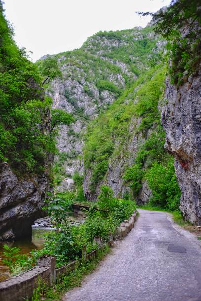 istock Karst landscape Sohodol Valley 1248170512
