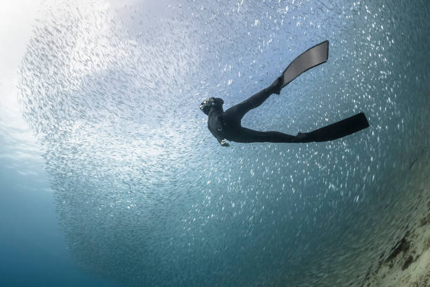 istock Woman freediver underwater view 1248171993