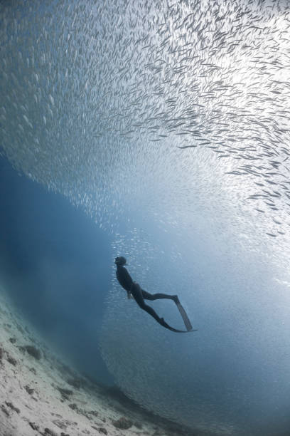 istock Woman freediver underwater view 1248172057