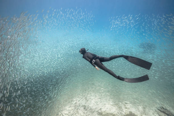 istock Woman freediver underwater view 1248172064