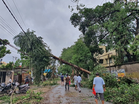 21st May 2020 - Narendrapur, West Bengal, India. Trees destroyed and fallen on road as pedestrians walk by as an aftermath of Cyclone Amphun that hit South Bengal on 20th May 2020.