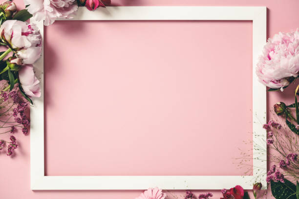 surtido flor rosa y marco blanco borde sobre fondo rosa, plano yacía - multi colored flower red flower head fotografías e imágenes de stock