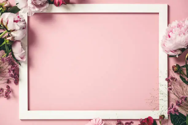 Photo of Assorted pink flower and white frame border on pink background, flat lay