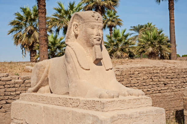 istock Large sphinx at ancient egyptian temple of Luxor 1248180206