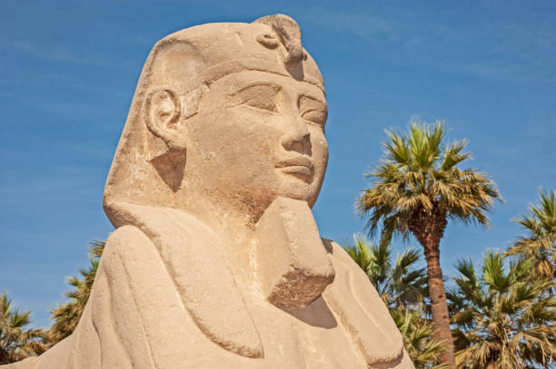 istock Large sphinx at ancient egyptian temple of Luxor 1248180391