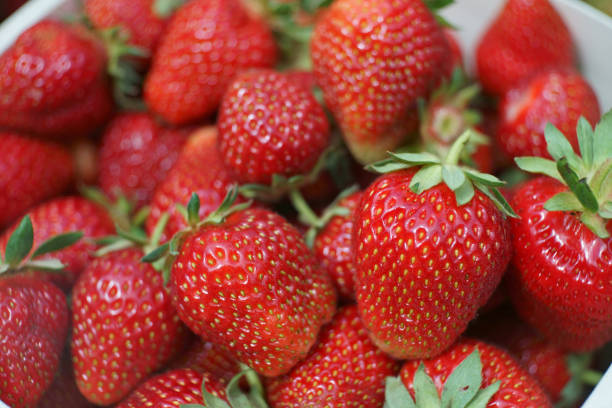 istock fresh red strawberries close-up 1248183888