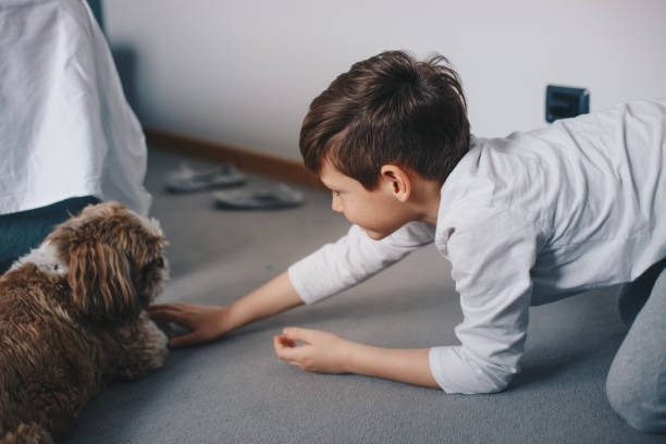 istock Cute boy plays on the floor on a carpet with dog 1248186188