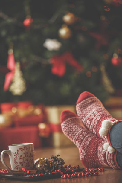 istock Ready for Christmas season 1248190596