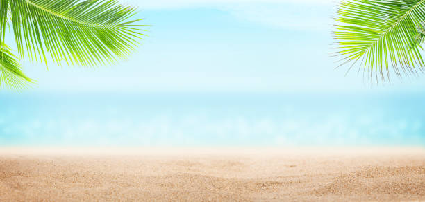 istock Summer tropical sea with sparkling waves, sand and blue sunny sky 1248190716