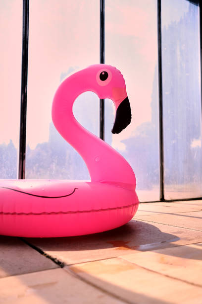 A pink flamingo inflatable toy lies next to a swimming pool on a hot day.