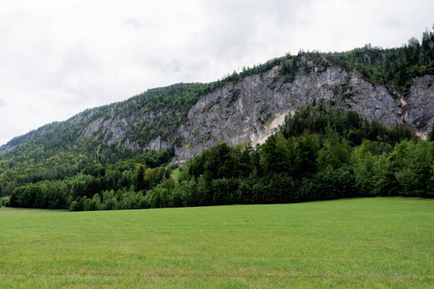 There are lot of green trees near foot of the mountain. The sky is full of grey clouds.
