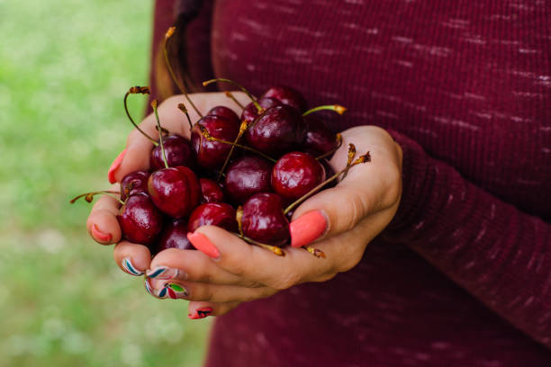 istock Woman holding fresh juicy cherry berries 1248195590