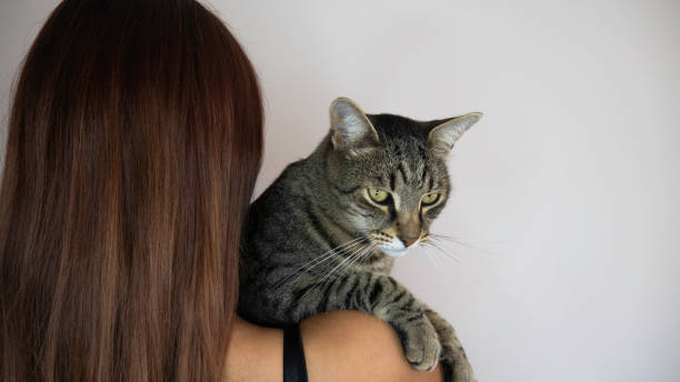 istock The woman holds the cat over her shoulder. Negative space. Copy space for text. 1248195686