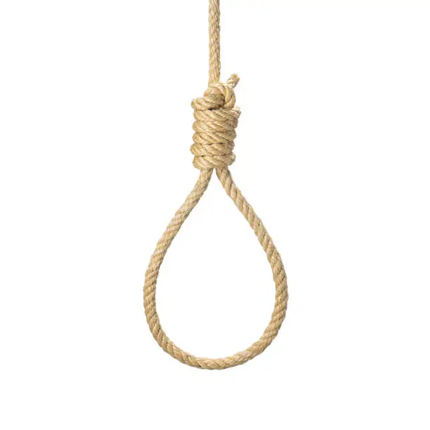 Rope noose for hangman, suicide made of natural fiber rope isolate on white background. Hemp rope Rope knot for gallows and Hang mans real photo image.