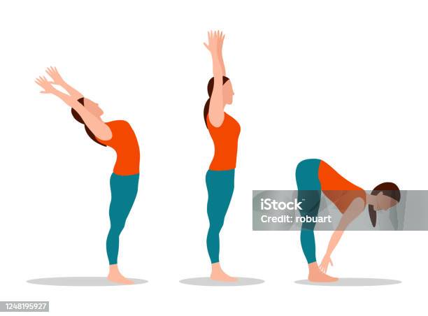 Yoga Collection Woman Set Vector Illustration Stock Illustration - Download  Image Now - Yoga, Toe, Touching - iStock