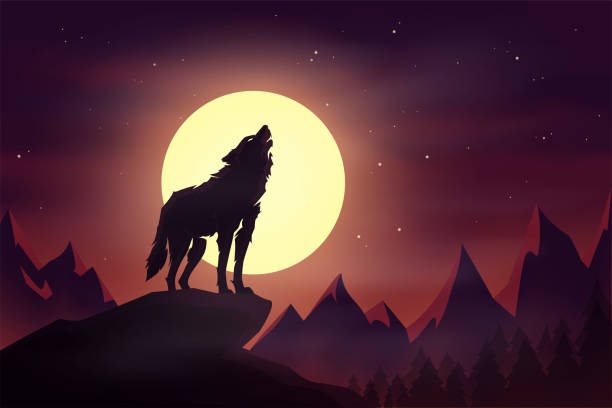 Wolf howling silhouette with large full moon Wolf howling silhouette in front of a large full moon with dusk night sky and mountains wilderness landscape background. Vector illustration. wolf illustrations stock illustrations