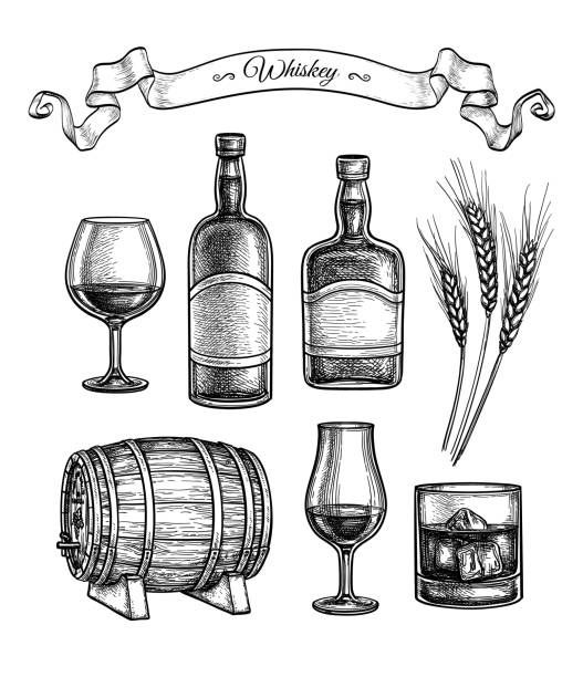 ilustraciones, imágenes clip art, dibujos animados e iconos de stock de conjunto de bocetos de tinta de whisky. - whisky barrel distillery hard liquor