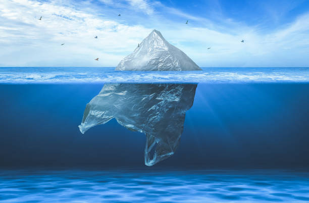 istock Global warming in the sea. Plastic bag iceberg with the bird, environment pollution 1248200797