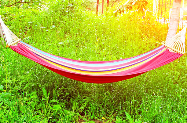 istock Hammock in garden and sun light. Morning 1248202114