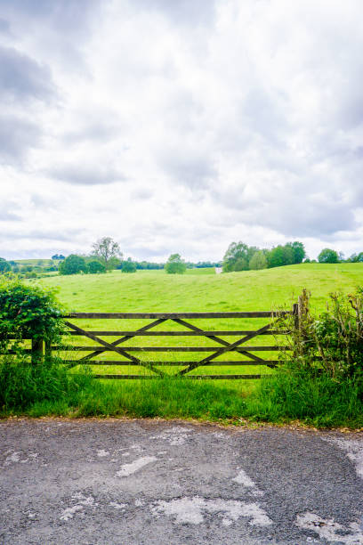 istock Wooden gate with open field and hawthron hedge 1248211050
