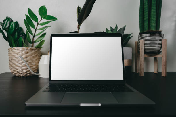 istock Hipster mockup image on digital laptop and pc notebook technology on table.Showing a mobile phone with blank white screen.Green nature background front view. 1248211108