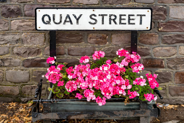 Quay Street, Minehead, Somerset with geranium flowers under a street sign.