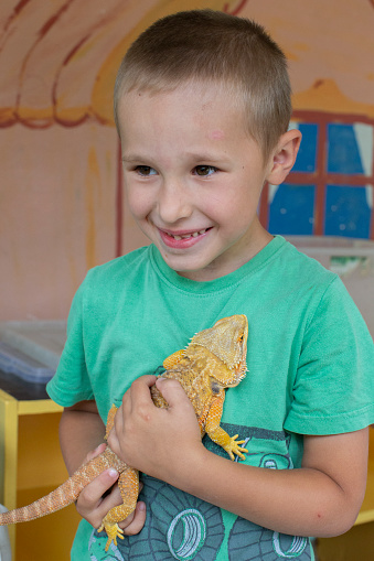 A child with a reptile. The boy holds a lizard in his hands.