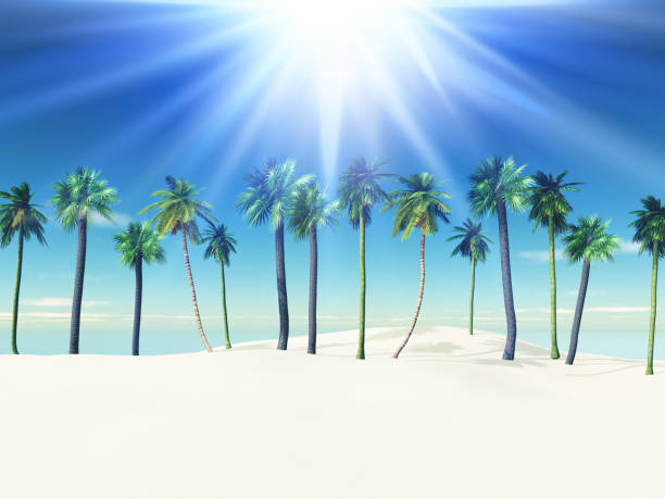 istock 3D summer landscape with palm trees on sandy beach 1248213537