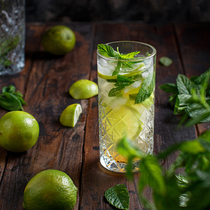 Homemade refreshing mojito cocktail in a tall glass close up