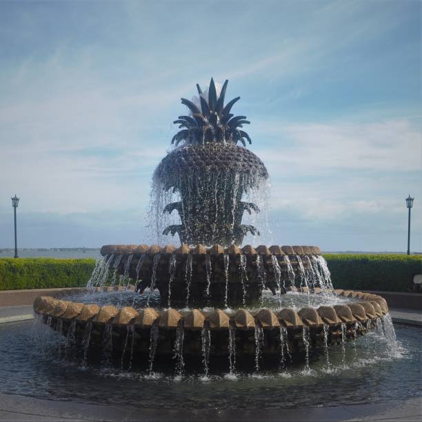 istock Pineapple Fountain at Waterfront Park 1248215524