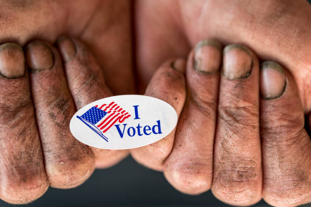 Voting Hands stock photo