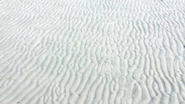 istock Background of Sea Sand 1248217510