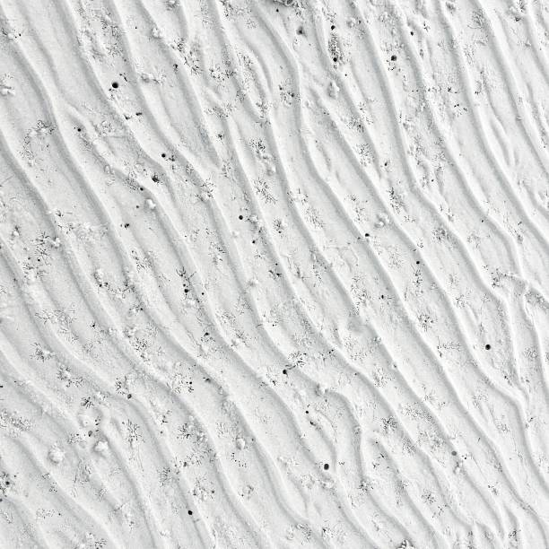 istock Background of Sea Sand 1248218610