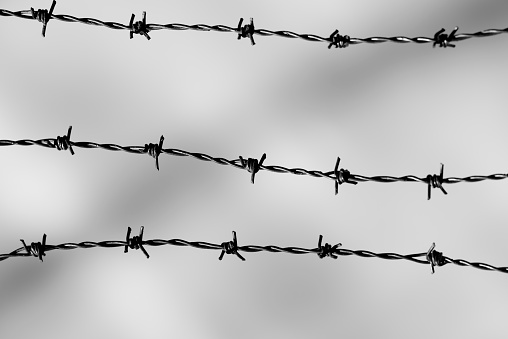 Black and white image of three barbed wires arranged parallel and horizontally.