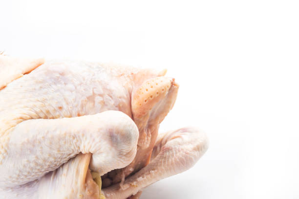 pollo crudo fresco isolato su bianco - preparation meat single object female foto e immagini stock