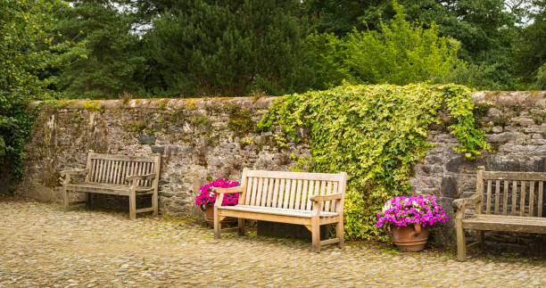 istock Empty wooden benches on a stone path and next to a wall. 1248227940